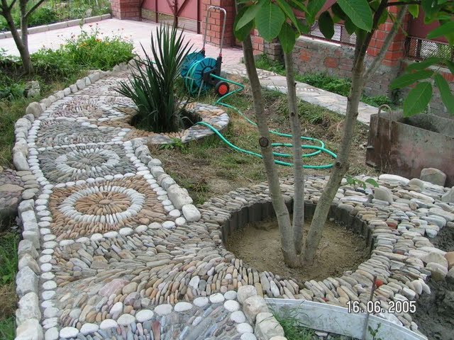080.jpg