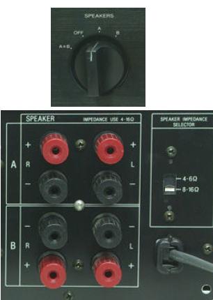 Amp.JPG