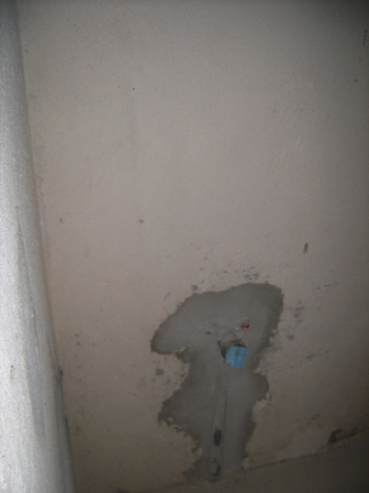 Picture 283.jpg