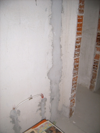 Picture 284.jpg