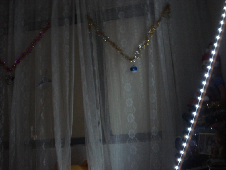 DSC01306.JPG