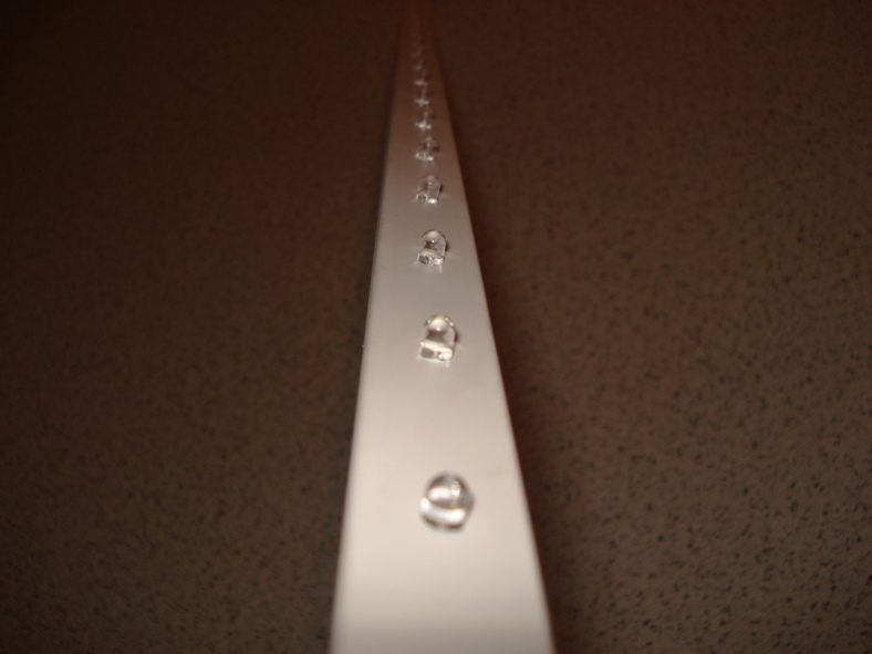 DSC01302.JPG