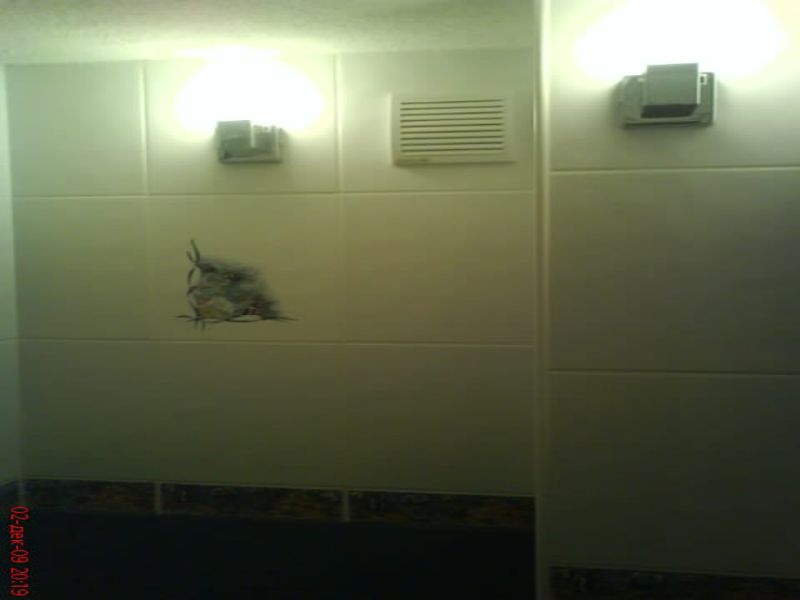 DSC00700.JPG