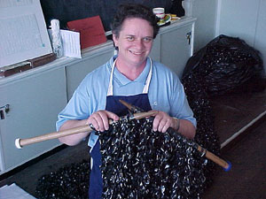 m463982.jpg