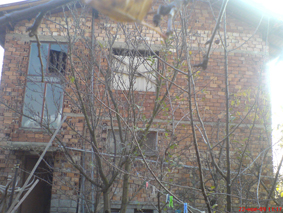 DSC01529.JPG