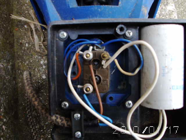 Picture 270.jpg