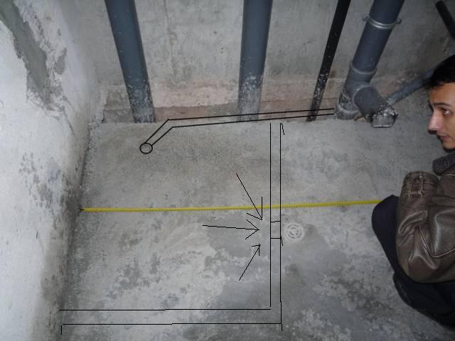 016974266.jpg