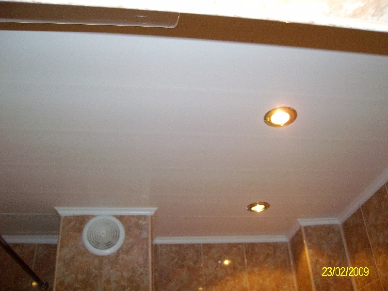 ALIM0063.jpg