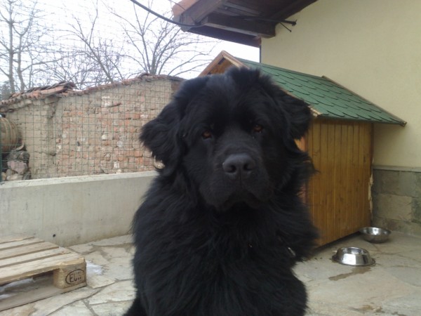 300120102400.jpg