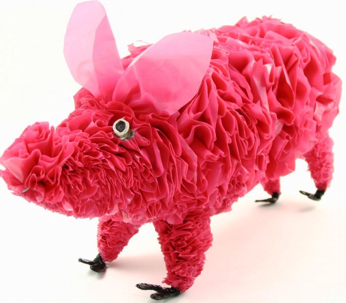 pig.jpg