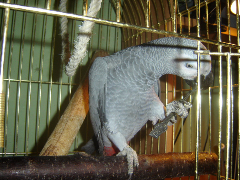 DSC02142.JPG