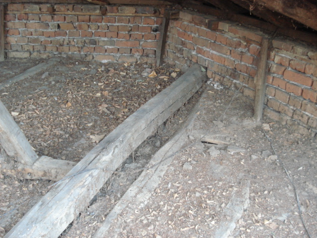 DSC03605.JPG