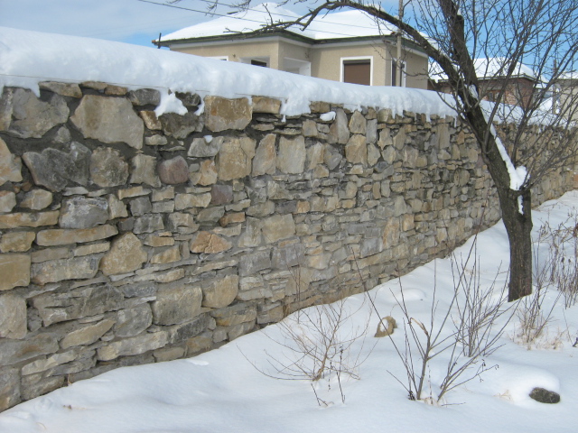 Picture 168.jpg