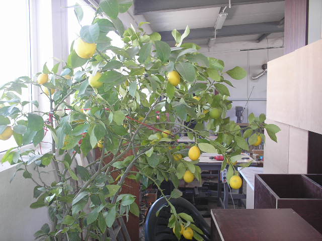 P2090025.JPG