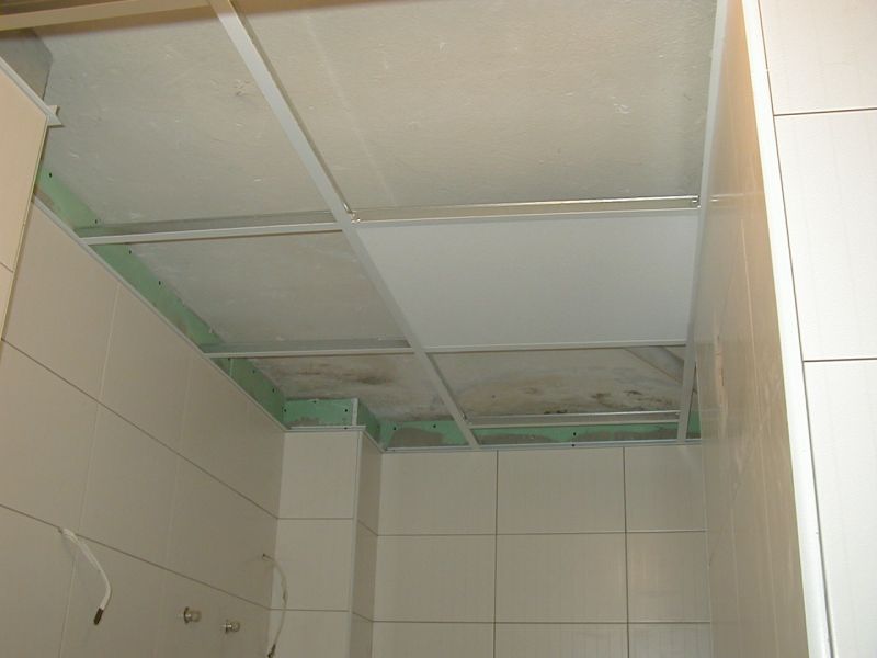 P1010144.jpg