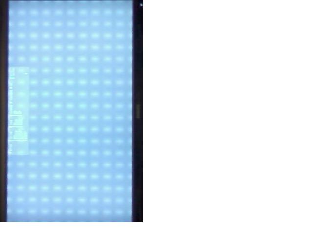 toni1.JPG