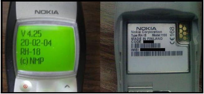 Nokia 1100.JPG