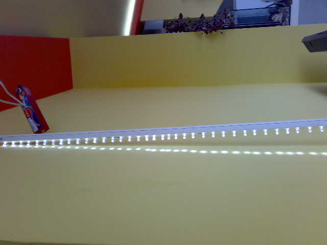 16022010421.jpg