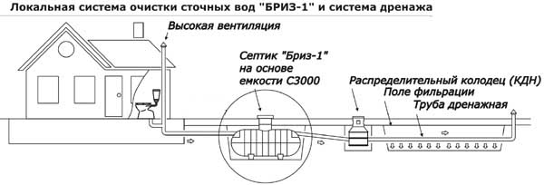 seriaBRIZ_r1_c1.jpg