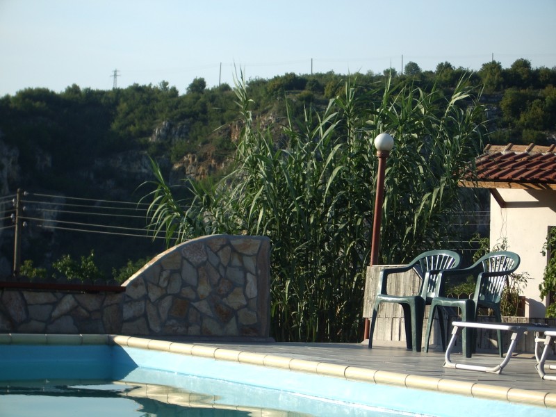 IMGP3506.jpg