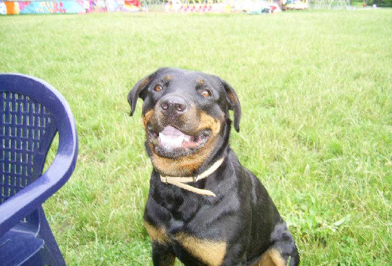 Picture 001_1.JPG