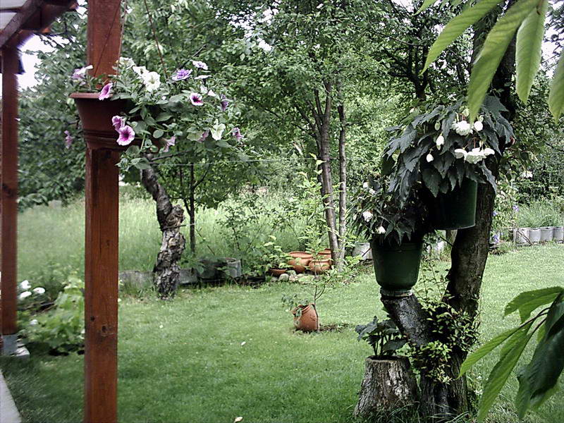 snimka2-1.jpg