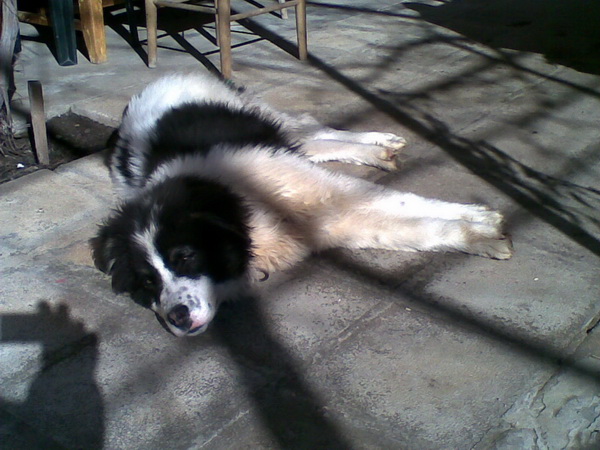 13022010378.jpg