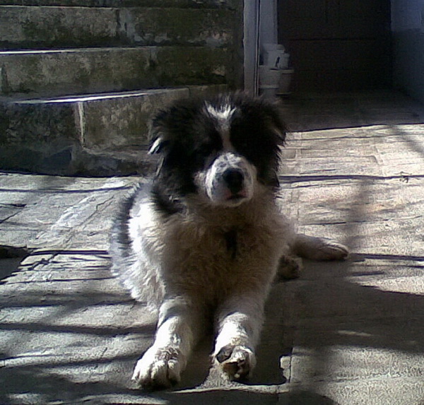 13022010375.jpg