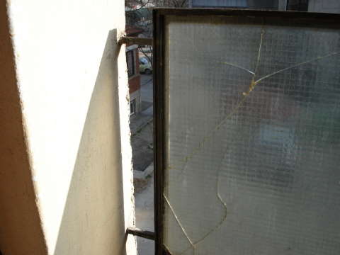 DSC00205.jpg
