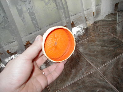 P1010002.JPG