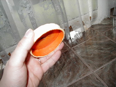 P1010004.JPG