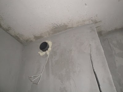 DSC00335.JPG