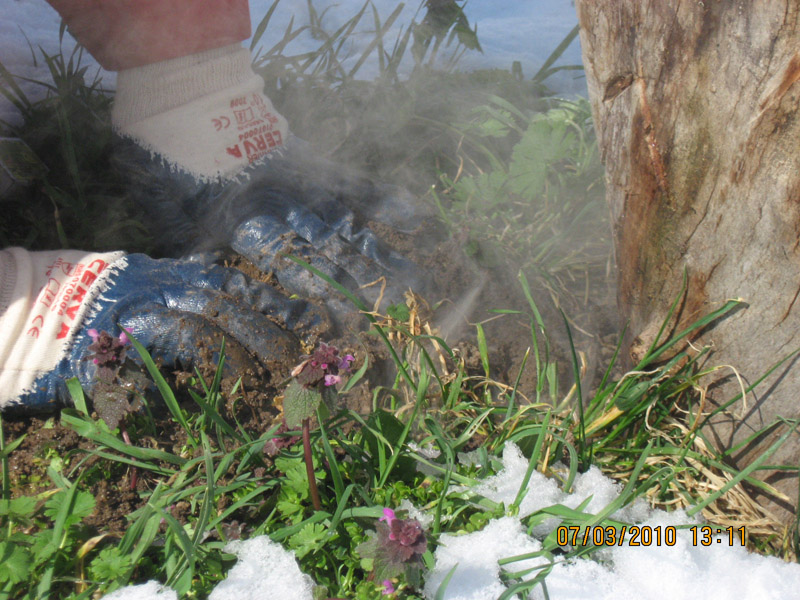 Picture 8891.jpg