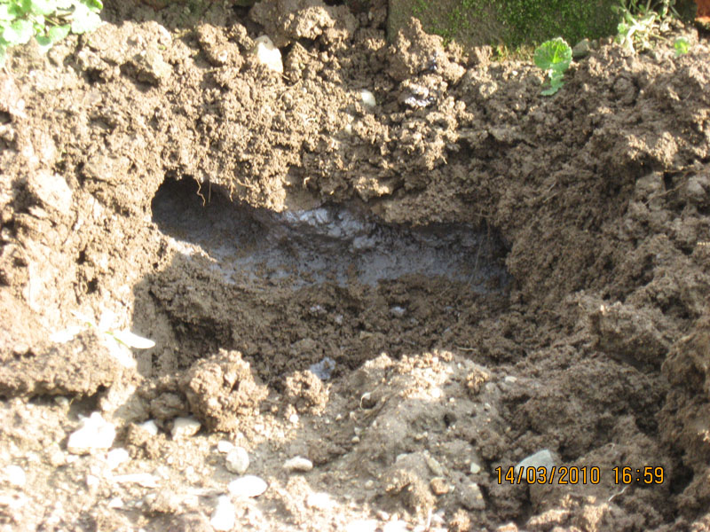 Picture 9391.jpg