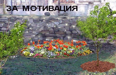 ograga.jpg