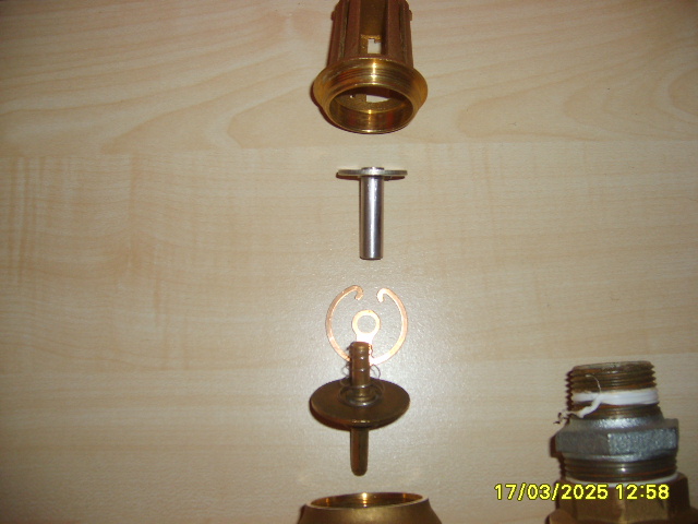 S6000047.JPG