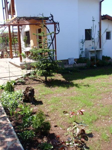 P4230660-2.jpg
