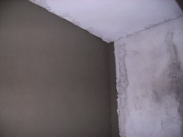 PICT0553.JPG