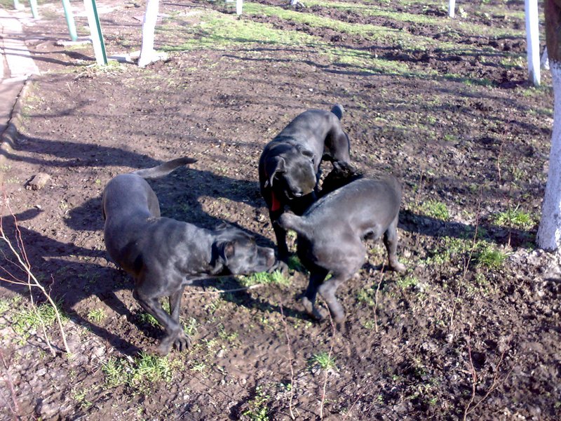 12012010042.jpg