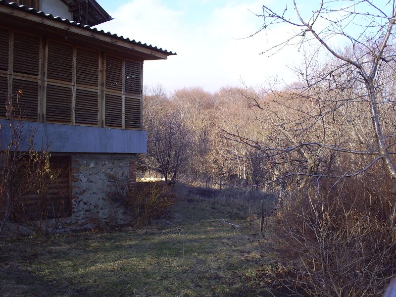 S4033120.jpg