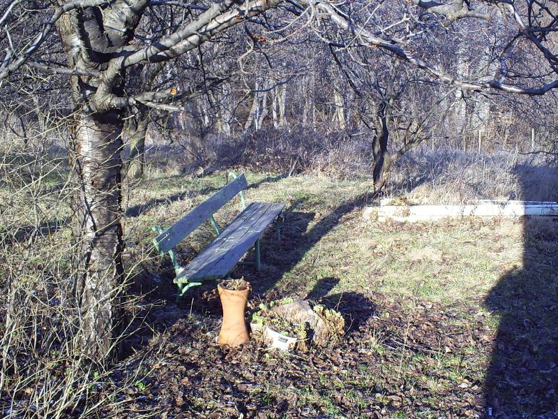 S4033115.jpg