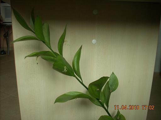Picture 004.jpg