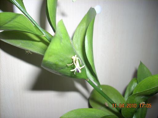 Picture 005.jpg