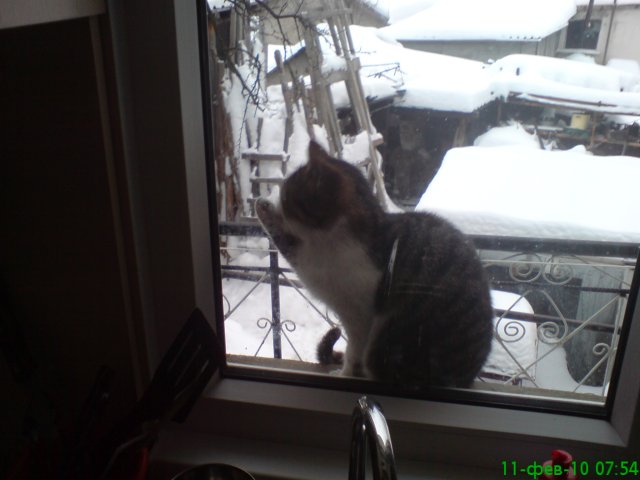 dsc031.jpg