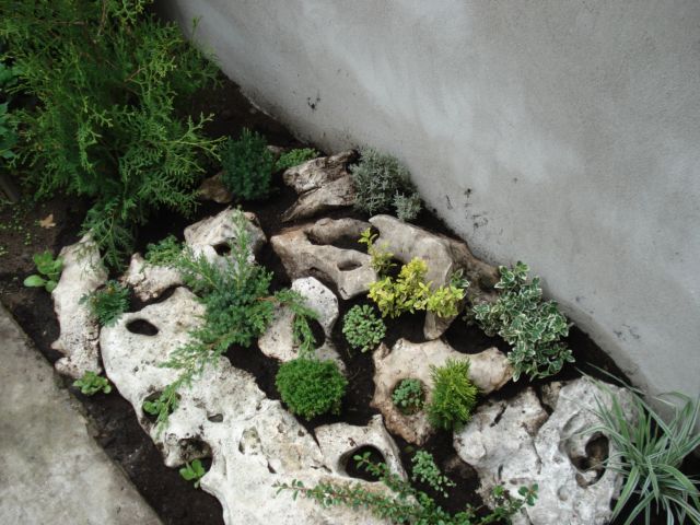 DSC05190_1.JPG