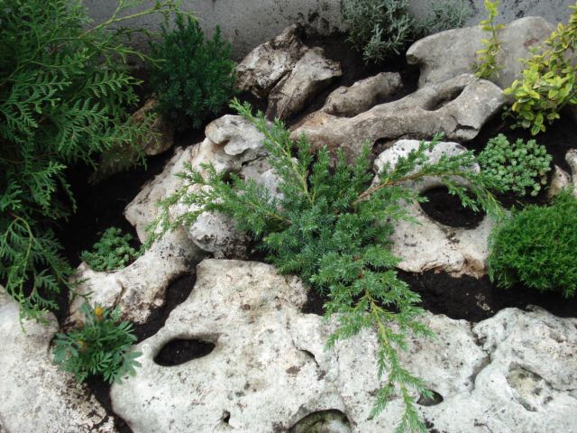 DSC05192_1.JPG