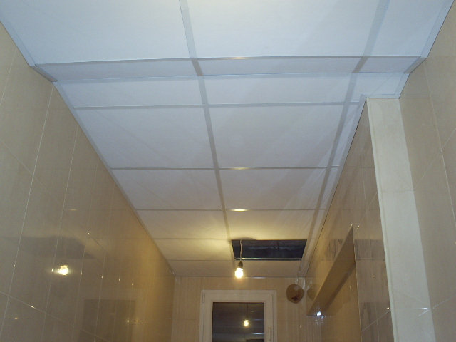 S4030071.JPG