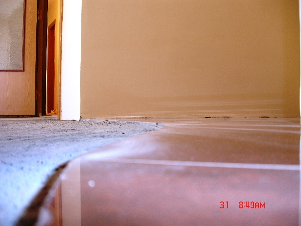 DSC00707.JPG