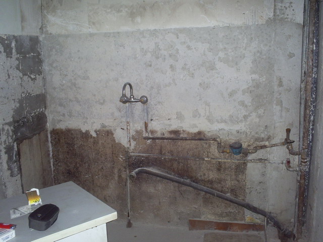 S4030336.jpg
