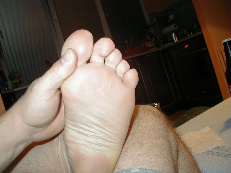 P1010017.jpg